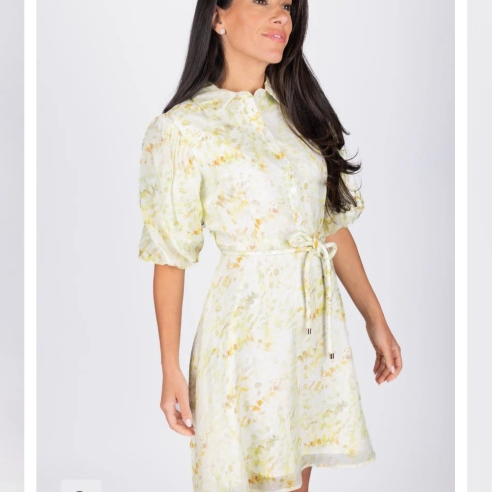 AKIRA Light Yellow Floral Mini Dress